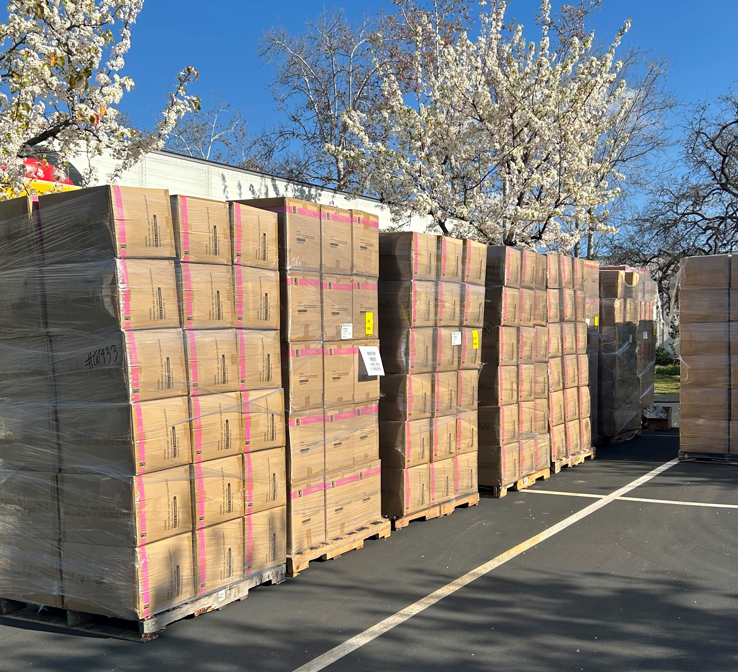 boxes of squishmallows